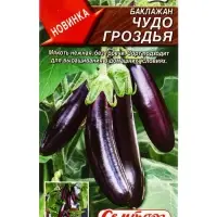 Семена Баклажан Чудо гроздья Семторг, Ц/П СТ,10 шт. Семена Баклажан Чудо гроздья Семторг, Ц/П СТ,10 шт.