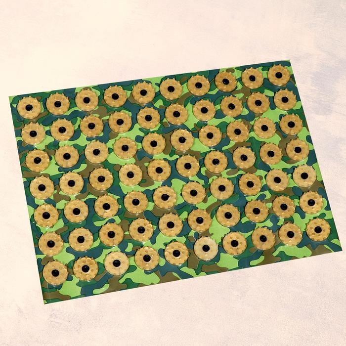 Аппликатор Кузнецова Аппликатор Кузнецова "Разминатор Т-1000", 70 колючек, плёнка, 23 x 32 см