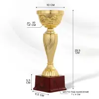 Кубок 120С, наградная фигура, золото, подставка пластик, 29.5&times;10&times;9.5 см