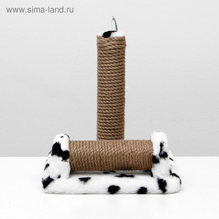 Когтеточка двойная для котят на подставке, джут, 30 х 28 х 32 см, далматинец Когтеточка двойная для котят на подставке, джут, 30 х 28 х 32 см, далматинец