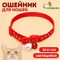 Ошейник для кошек &laquo;Лапка&raquo;, 30&times;1 см, светящийся, с бубенчиком и подвесом, полиэстер, красный