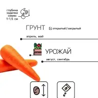 Семена на ленте Морковь &laquo;Нантская 4&raquo;, 8 м, &laquo;Росток-гель&raquo;