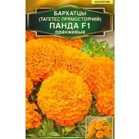 Семена цветов Бархатцы Панда F1 оранжевые прямостоячие  Золотая серия, Ц/П,7 шт.