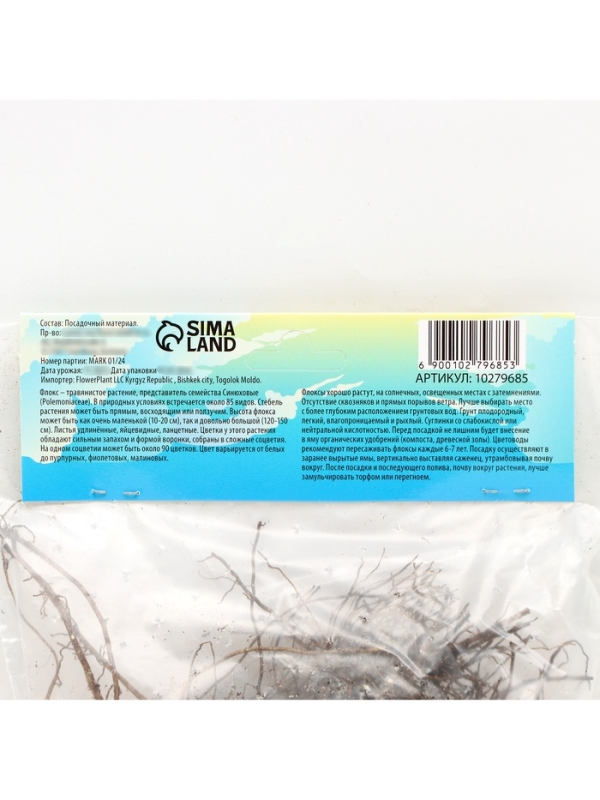 Флокс «Крем де ля Крем» корневище в пакете с торфогрунтом, р-р I, 2 шт.