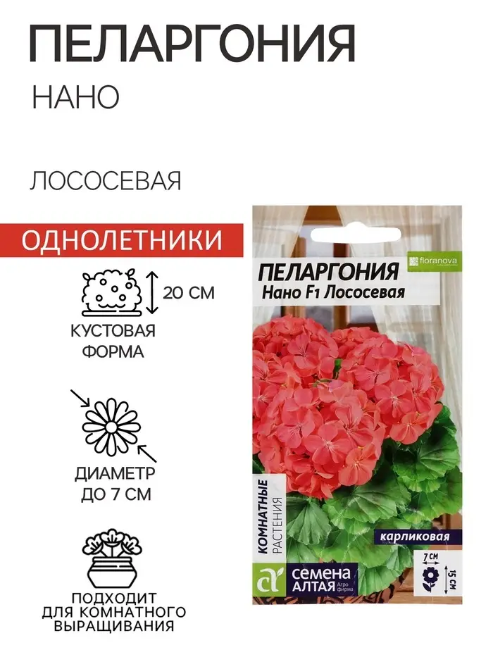 Семена цветов Пеларгония "Нано", ц/п,  "Лососевая", ц/п,  3 шт Семена цветов Пеларгония "Нано", ц/п,  "Лососевая", ц/п,  3 шт