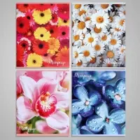 Тетрадь 96 листов в клетку &laquo;Цветы&raquo;, серые листы, МИКС