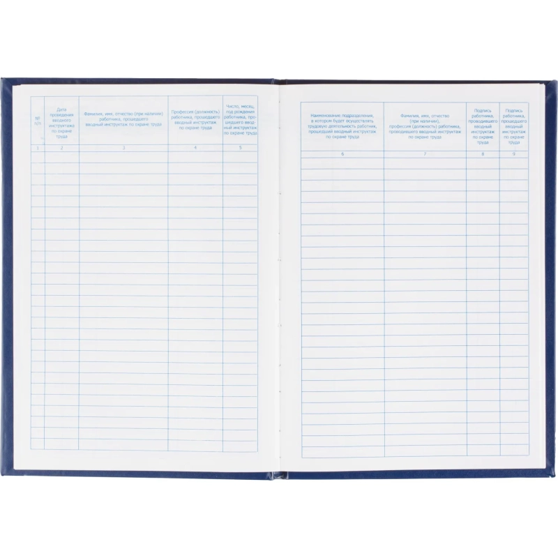 Журнал регистрации вводного инструктажа по охране труда, бумвинил,96л,офсет