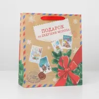 Пакет подарочный новогодний крафтовый «Подарок от Деда мороза», M 26 х 30 х 9 см Пакет подарочный новогодний крафтовый «Подарок от Деда мороза», M 26 х 30 х 9 см