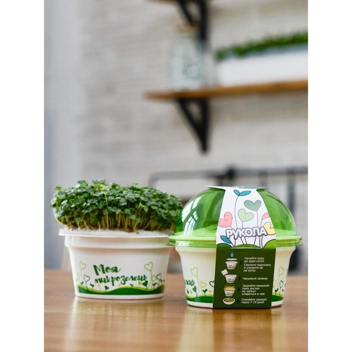 Набор для выращивания «Моя микрозелень», рукола Набор для выращивания «Моя микрозелень», рукола