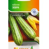 Семена Кабачок &laquo;Зебра&raquo;, 7 шт., ранний, &laquo;Агрос&raquo;