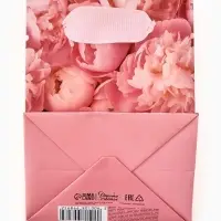 Пакет ламинированный &laquo;Подарок для тебя&raquo;, 9 &times; 12 &times; 6,5 см