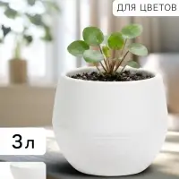 Горшок цветочный &laquo;Япония&raquo;, 3 л, d=22 см, h=20 см, пластиковый, с поддоном, белый