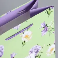 Пакет подарочный "Нежный штрих" ламинированный 18 х 22,3 х 10 см