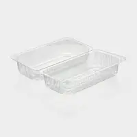 Контейнер одноразовый с неразъёмной крышкой, пластик, 24&times;12.9&times;8.9 см, внутр. 21.3&times;9.9&times;7.8 см, прозрачный