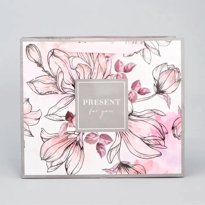 Пакет подарочный ламинированный, упаковка, &laquo;Present for you&raquo;, ML 27&times;23&times;11.5 см