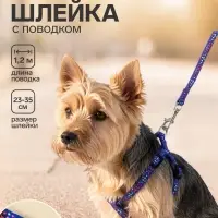 Шлейка с поводком &laquo;Звёздные косточки&raquo;, 23-35 с, ширина 1 см, поводок 120 см, синяя