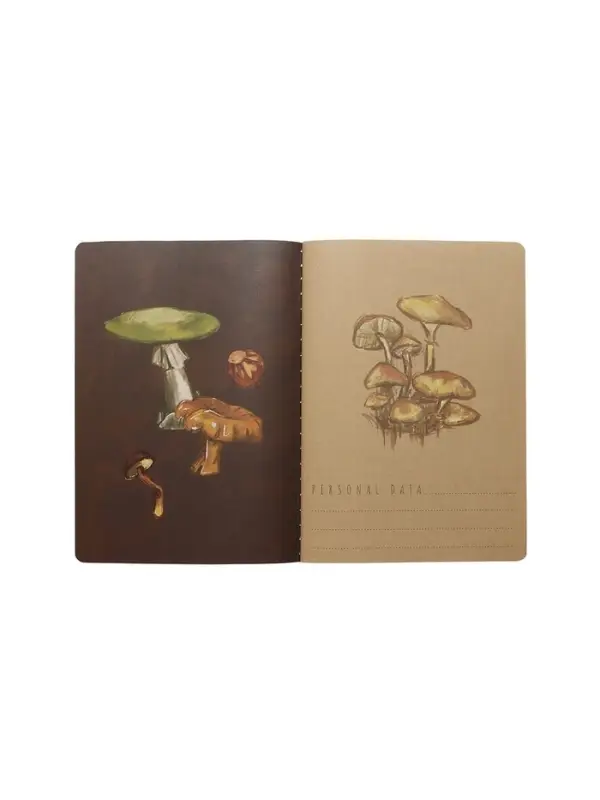 Тетрадь 40л кл BrunoVisconti. FLORA.Грибная феерия Тетрадь 40л кл BrunoVisconti. FLORA.Грибная феерия