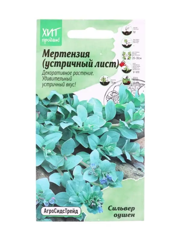 Семена цветов Мертензия (Устричный лист) Сильвер Оушен 5шт