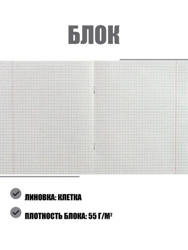 Набор тетрадей «Зелёная обложка» 20 штук, 24 листа в клетку, эконом, плотность 60 г/м² Набор тетрадей «Зелёная обложка» 20 штук, 24 листа в клетку, эконом, плотность 60 г/м²