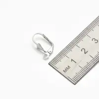 Швензы для сережек с французской застёжкой, 18 мм (набор 5 пар), цвет серебро