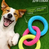 Жевательная игрушка дял собак &laquo;Всегда вместе!&raquo;, 3 кольца по 8 см, TPR, разноцветная