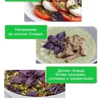 Семена Базилик овощной &laquo;Арарат&raquo;, 0.2 г, &laquo;Рецепты дедушки Никиты&raquo;