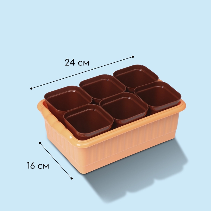 Набор для рассады: стаканы по 250 мл (6 шт.), контейнер 24 × 16 см, МИКС Набор для рассады: стаканы по 250 мл (6 шт.), контейнер 24 × 16 см, МИКС