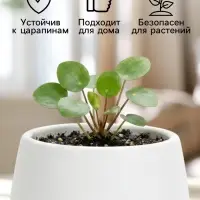 Горшок цветочный &laquo;Япония&raquo;, 125 мл, d=8 см, h=6.5 см, пластиковый, с поддоном, белый
