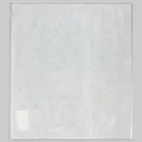 Стразы термоклеевые, на листе 30&times;35 см, с голографией, серебряные