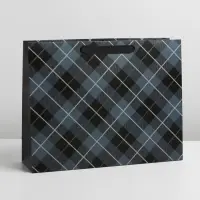 Пакет подарочный ламинированный, упаковка, &laquo;Man&raquo;, L 40 х 31 х 11.5 см