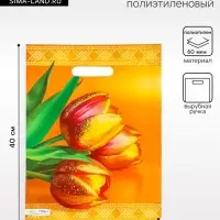 Пакет подарочный &laquo;Желтые тюльпаны&raquo;, полиэтиленовый с вырубной ручкой 30&times;40 см, 60 мкм