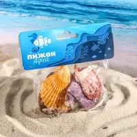 Набор ракушек Пектен Вексиллум средние, 4 - 6 см, 100 г