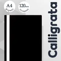 Папка-скоросшиватель Calligrata, А4, 120 мкм, чёрная, прозрачный верх