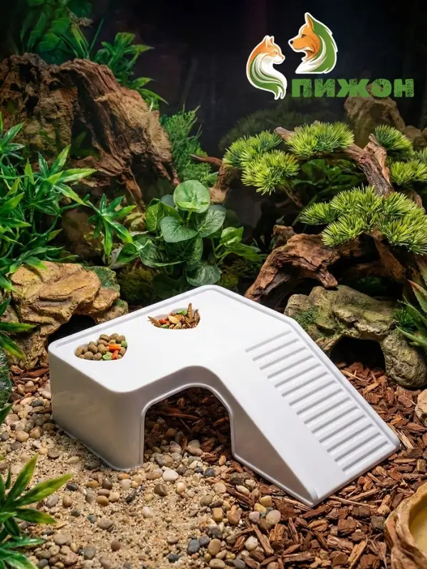 Мостик для черепах &laquo;Пижон&raquo;, 19.8&times;17.2&times;6.5 см, большой, с отсеками для корма, пластик, белый