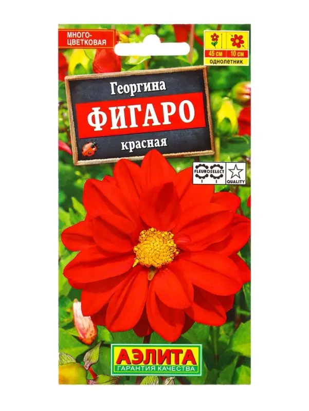 Семена цветов Георгина Фигаро махровая красная , Ц/П,7 шт. Семена цветов Георгина Фигаро махровая красная , Ц/П,7 шт.