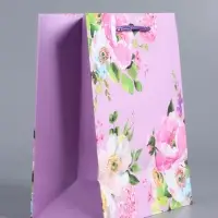 Пакет подарочный ламинированный "Радость" 18 х 22,3 х 10 см