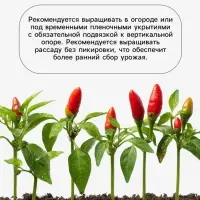 Семена Перец &laquo;Подарок Молдовы&raquo;, 0.15 г, &laquo;Агросс&raquo;