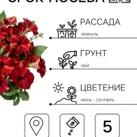 Семена цветов Петуния мультифлора &laquo;Май Джой Еллоу Бронз Ред&raquo;, 5 шт., &laquo;Поиск&raquo;