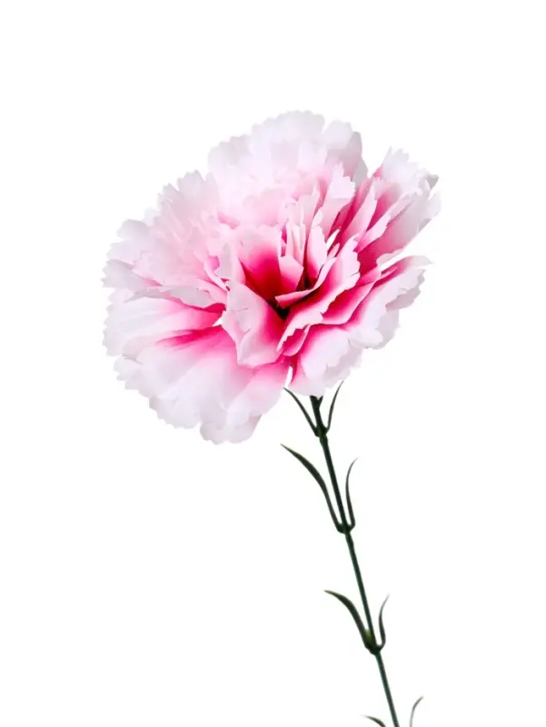 Цветы искусственные &laquo;Гвоздика экстра галант&raquo;, h=49 см, d=8 см, белые