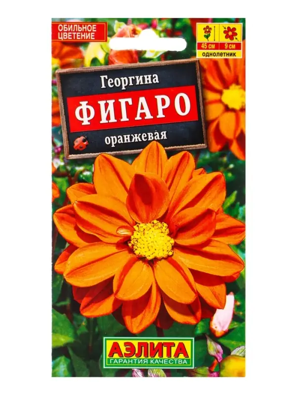 Семена цветов Георгина Фигаро махровая оранжевая , Ц/П,7 шт. Семена цветов Георгина Фигаро махровая оранжевая , Ц/П,7 шт.