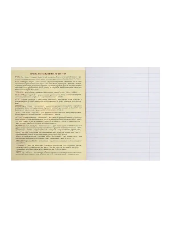 Предметная тетрадь по литературе Calligrata &laquo;Пиксели&raquo;, 36 листов, в линейку, со справочным материалом, обложка из мелованного картона