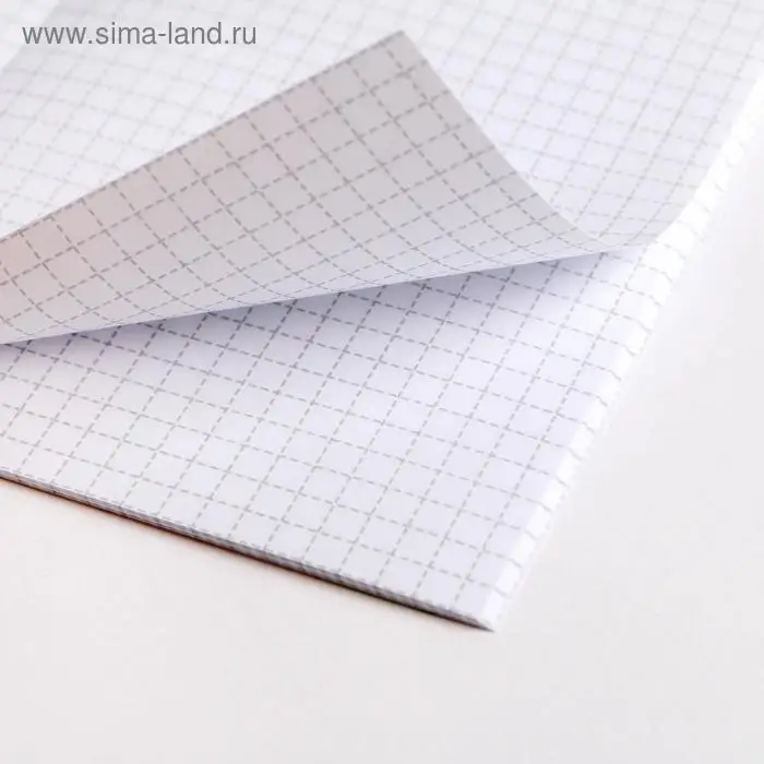 Блокнот А6, 32 л на скрепке, в клетку &laquo;Авокадо&raquo;