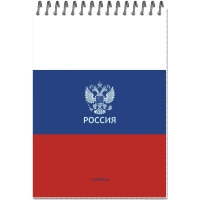 Блокнот А5 Россия 50л УФ лак клетка, спираль 2 дизайна, ассорти, 3344