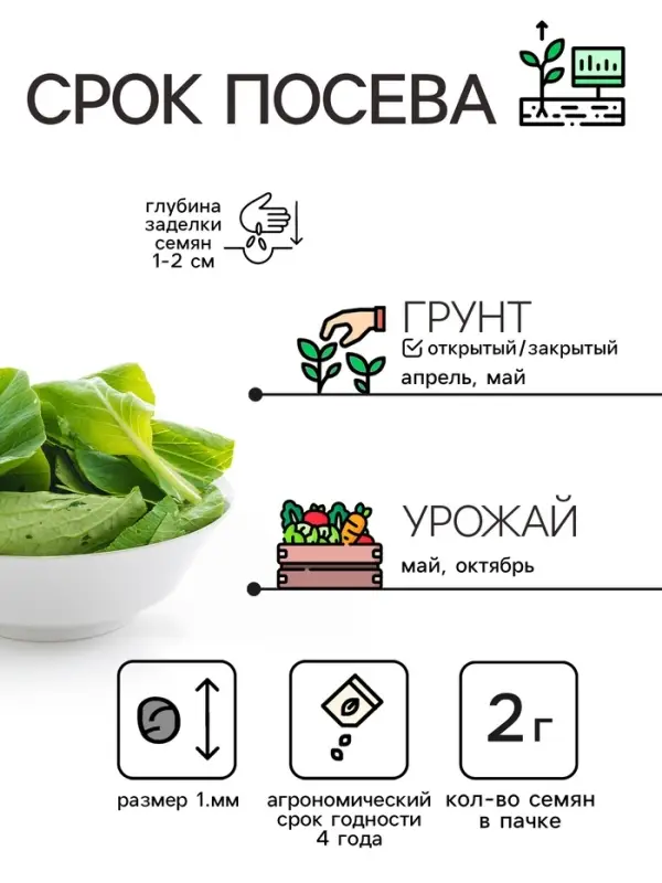 Семена шпинат &laquo;Жирнолистный&raquo;, 3 г, &laquo;Рецепты дедушки Никиты&raquo;