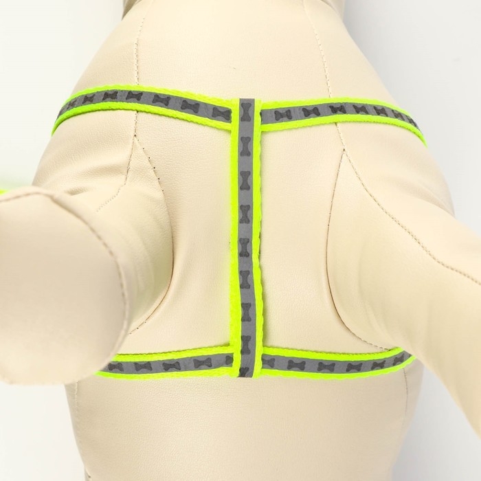 Комплект светоотражающий Комплект светоотражающий "Косточки", ошейник 120 х 1 см, ОШ 26-42 см, ОГ 26-42 см, зелёный