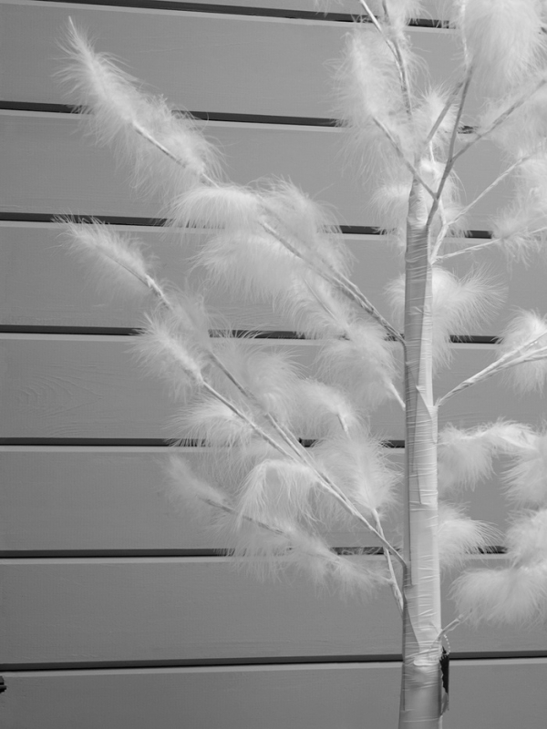 Светодиодное дерево «Перья» 1.5 м, 300 LED, постоянное свечение, 220 В, свечение тёплое белое Светодиодное дерево «Перья» 1.5 м, 300 LED, постоянное свечение, 220 В, свечение тёплое белое