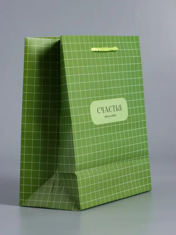 Пакет подарочный ламинированный "Здесь и сейчас" 18 х 22,3 х 10 см