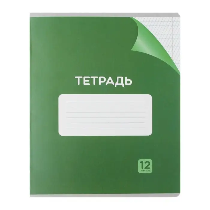 Комплект тетрадей из 10 штук, 12 листов в частую косую линию Calligrata "Однотонная Классика с уголком. Эконом", обложка мелованный картон, ВД- лак, блок №2, белизна 75% (серые листы), 5 видов по 2 штуки