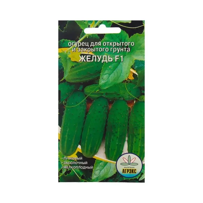 Семена Огурец Семена Огурец "Желудь ", 10 шт