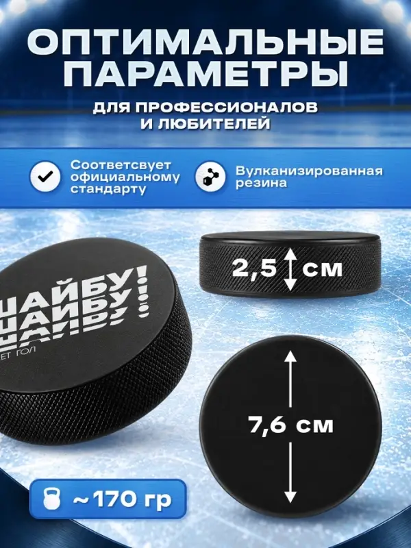Шайба хоккейная Winter Star, взрослая, d=7.6 см